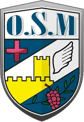 Partenaires Newteam OSM